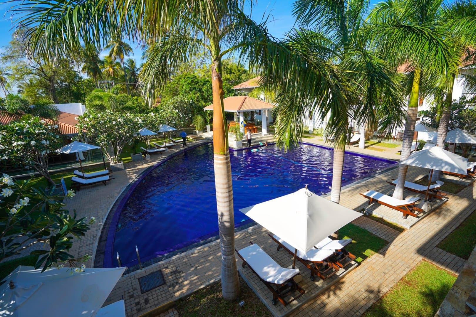 Hotel Tamarind Tree Gallery Image 43